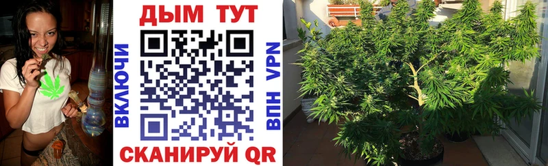 Наркошоп купить Бутират  Меф мяу мяу  А ПВП  ГАШИШ  Марихуана  Псилоцибиновые грибы  Можга