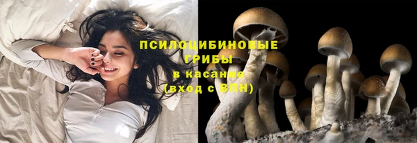сатива Лагань