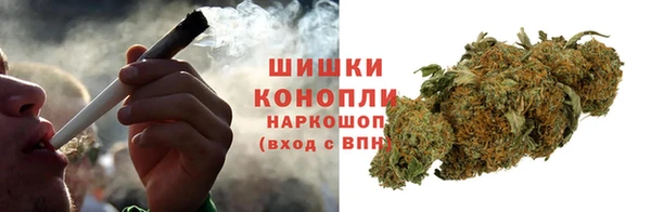 сатива Лагань