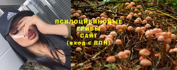кокаин премиум Ладушкин
