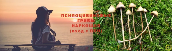 a pvp Лабытнанги