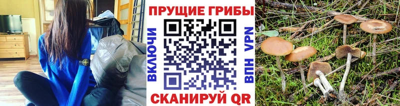 Псилоцибиновые грибы прущие грибы  Купить  Можга 
